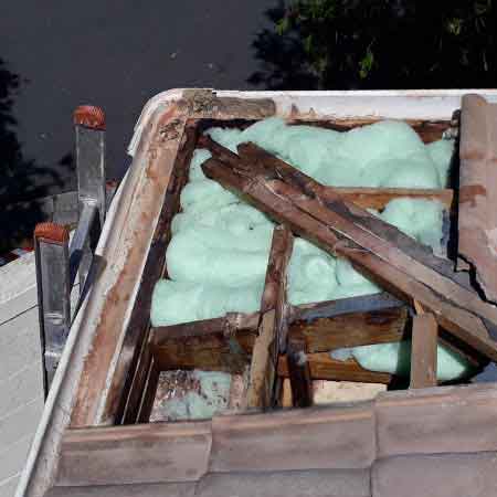 Established bee colony removal from roof, Sunningdale, Cape Town, Western Cape